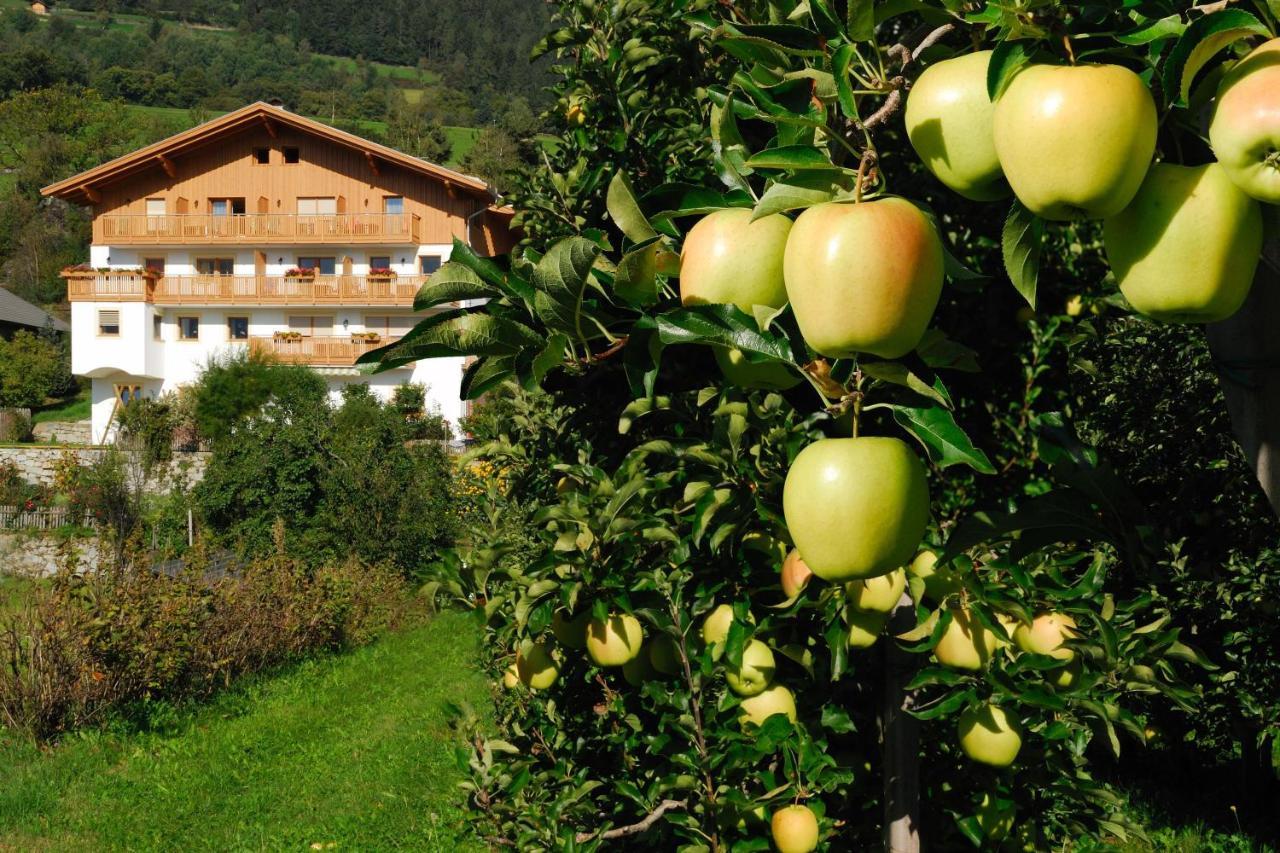 Huberhof App Gala Apartamento Feldthurns Exterior foto